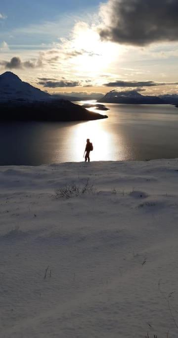 Apartment Appartement Tromsø